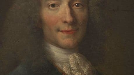 Voltaire y la Ilustración oscura
