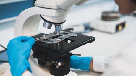 Gut bacteria changes could be ‘warning sign for worsening Parkinson’s symptoms’