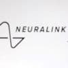 Musks start-up Neuralink doet aap iets zien dat er niet is