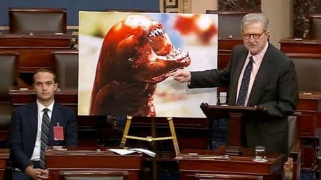 Republican senator suggests eating radioactive shrimp will turn you into an alien