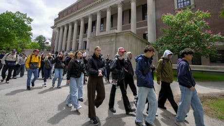 «Perché Harvard non è un baluardo di radicalismo»