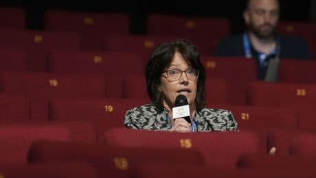 Team USA coach Cheryl Reeve’s Caitlin Clark posts were ‘stunningly bad behavior’: author