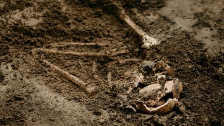 On en sait plus sur les massacres sanglants qui ont fait des milliers de victimes dans l'Alsace néolithique
