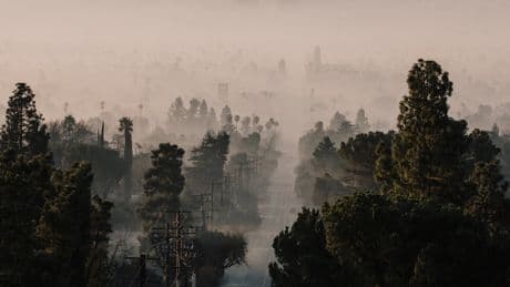 The Impact of the L.A. Fires Was Felt Far From the Burn Zone, Poll Shows