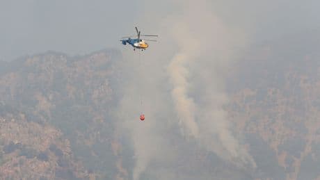 Hatay'da dün akşam başlayan yangın sürüyor