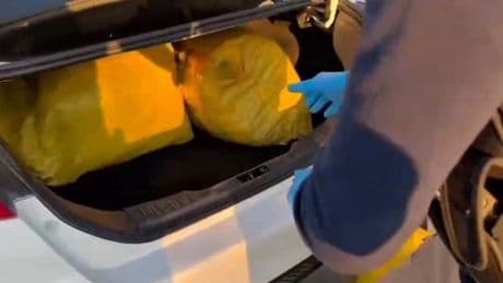 Şanlıurfa'da 35 kilogram skunk ele geçirildi: 1 gözaltı