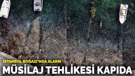 İstanbul Boğazı’nda alarm: Müsilaj tehlikesi kapıda