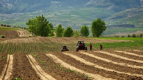 Çiftçinin enflasyonu mayısta yükseldi
