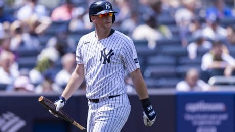 Yankees officially release DJ LeMahieu one day after DFA
