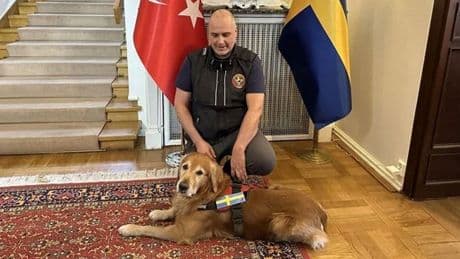 Türkiye'de göçük altında 18 kişiyi kurtarmıştı: İsveç'in kahraman köpeği hayatını kaybetti