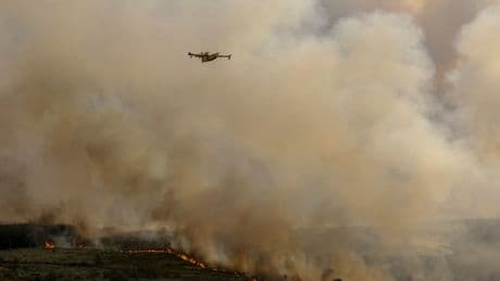 Scientists find carbon monoxide antidote that could treat poisoning within minutes