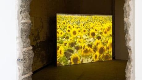 Le soleil s’expose à travers la Corse durant tout l’été