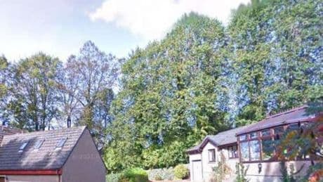 West Lothian lime trees in historic street saved from the chop