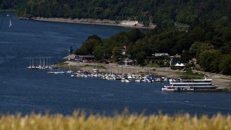 Gesundheit: Blaualgen im Edersee entdeckt