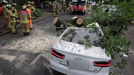 Unfall: Baum kracht auf Auto - Fahrer verletzt