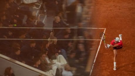 PHOTO COLLECTION: French Open Tennis Spectators