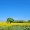 Will UK break heat records for start of May and will it last?
