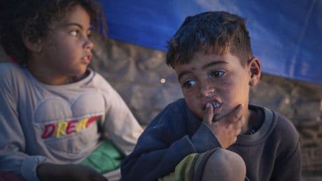 Food security experts warn Gaza is at critical risk of famine if Israel doesn't end its blockade