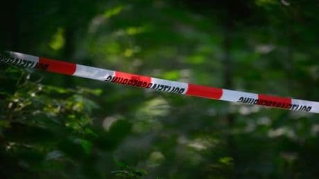 Brandenburg: Vermisste 22-Jährige aus Luckenwalde tot im Wald entdeckt