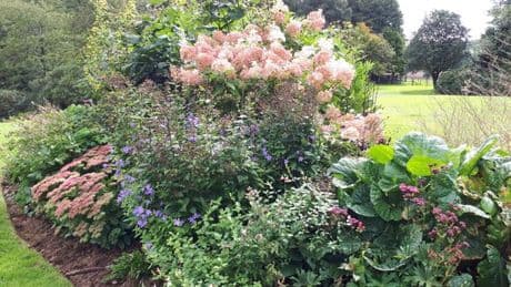 Dumfries and Galloway garden to open for charity under Scotland’s Gardens Scheme
