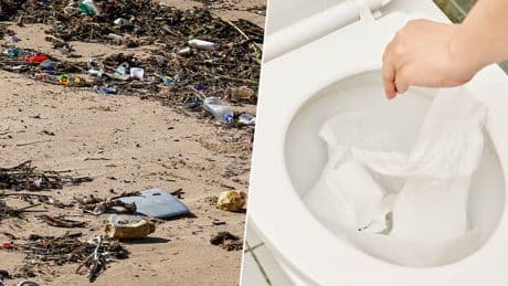 Tirar toallitas al inodoro va a salir caro: España está preparando una ley para frenar su impacto ambiental