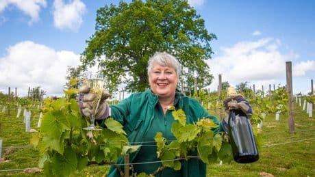 Couple created Scotland's first 'champagne' from an old potato field