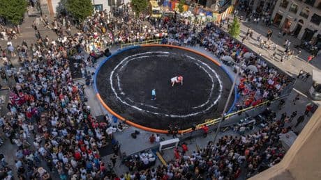 En Madrid hay 24 toneladas de arena volcánica canaria dando tumbos. Así que se convertirán en un "jardín seco"