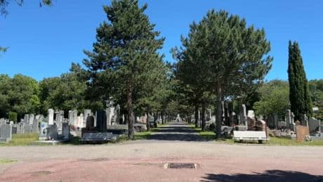 Lyon: la Ville investit 900.000 euros pour favoriser la biodiversité au cimetière de la Guillotière
