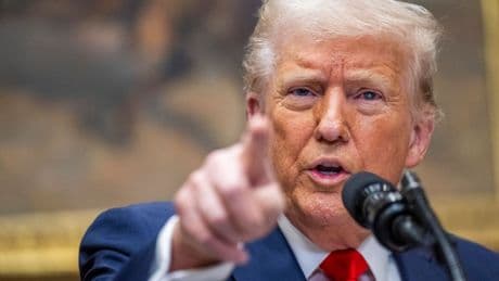 Donald Trump bans travel from 12 countries to the US as he warns against threat from 'foreign terrorists'