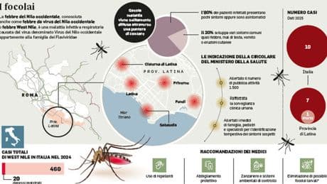 West Nile, contagiato un cavallo nel Catanese. Scatta disinfestazione straordinaria ?a Benevento
