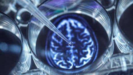 À la simple vue d’un malade, le cerveau active les mécanismes de défense de l’organisme
