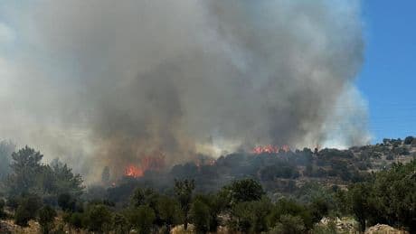 Korkutan yangın