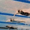 Belgisch unicum: Roos Vanotterdijk wint tweede medaille op WK Zwemmen en behaalt brons in finale 50 meter vlinderslag