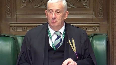 Why are MPs wearing a wheat sheaf on their lapels during PMQs?