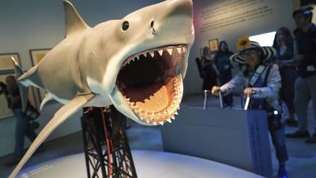 Los 50 años de Tiburón, la película que cambió la vida de Spielberg: "Pensé que mi carrera estaba acabada después de aquello"