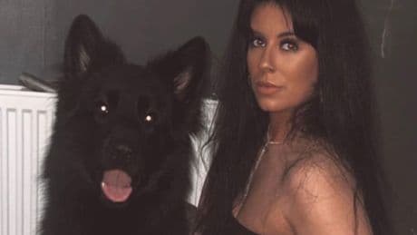 Dodgy K9 fertility worker sprayed dog's blood during illegal veterinary procedure