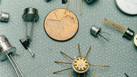 The Hunt for a Lost Microscopic Art World