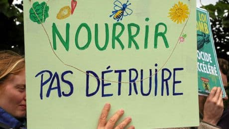 Loi agricole Duplomb : pourquoi le texte controversé pourrait ne pas être adopté ?