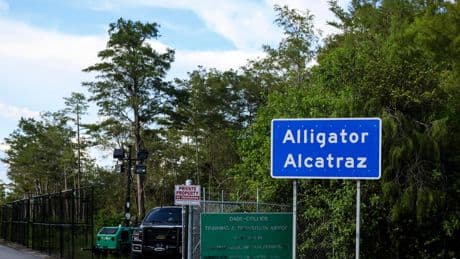 At ‘Alligator Alcatraz,’ Did a Detainee Just Faint or Need CPR?