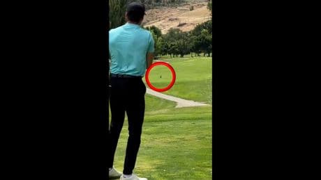 Abschlag endet für Vogel tödlich - Tragischer Volltreffer von Golfer