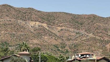 Muğla'da büyük yangınların 3. yılında yanan alanlar yeniden yeşillendi