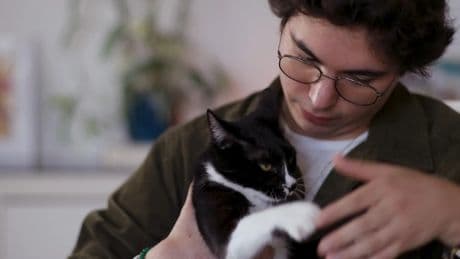 Los gatos, compañeros que refuerzan la autoestima y ayudan a superar momentos difíciles