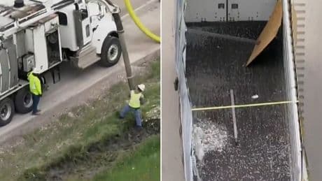 Lorry spills 8,000,000 coins onto highway causing painstaking 14-hour pickup