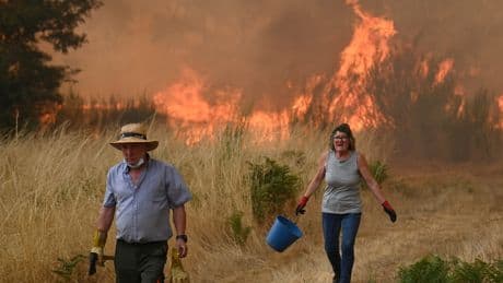 Europe’s Extreme Summer Weather Could Cost It Billions