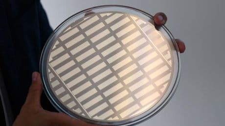 Halbleiterindustrie: Trump droht mit hohen Chip-Zöllen - Sorge in Sachsen