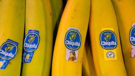 Panama hofft auf Rückkehr von US-Bananenkonzern Chiquita