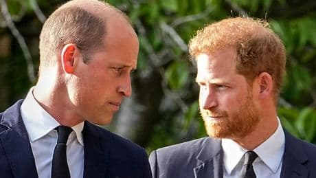 Prince Harry shows true feelings on William feud with 'high risk' move days after UK trip