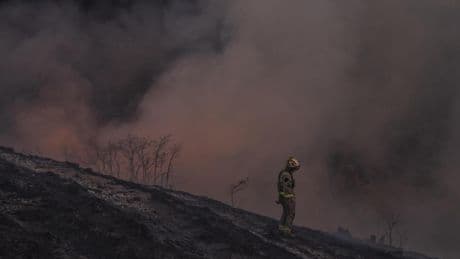 Los megaincendios se multiplican: en los últimos cuatro años se han registrado 4 de los 7 mayores fuegos del siglo