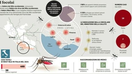 West Nile, Crisanti: «Ecco come far estinguere gli insetti-killer con una mutazione genetica»