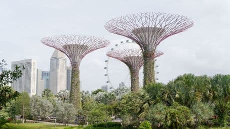 Singapour confronté à une « grave » cyberattaque